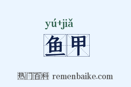 鱼甲是什么意思的图片